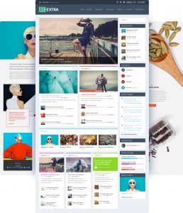 Divi theme Extra